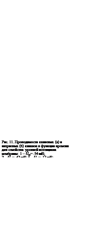 Подпись: Рис. 11. Проводимости калиевых (а) и натриевых (б) каналов в функции времени для семейства уровней потенциала мембраны: 1 – Um= -54 mB; 
2 – Um= -42 mB; 3 – Um= -17 mB; 
4 – Um= 8 mB; 5 – Um= 29 mB





