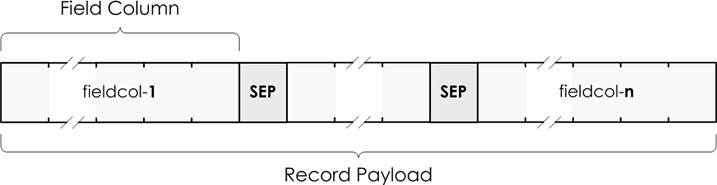 CSV record structure