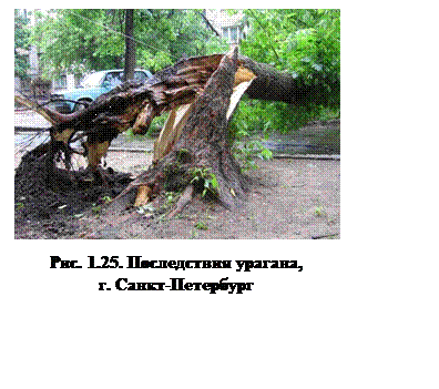 Подпись:  

Рис. 1.25. Последствия урагана,
г. Санкт-Петербург
