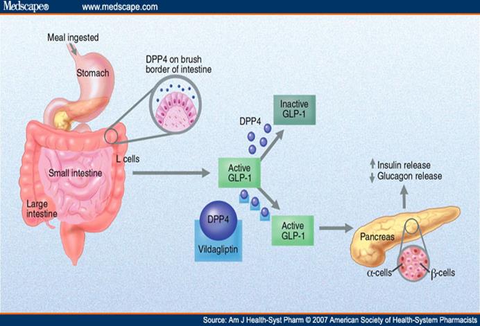 http://img.medscape.com/fullsize/migrated/559/014/ajh559014.fig2.jpg