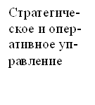 Стратегиче-ское и опер-ативное уп-равление