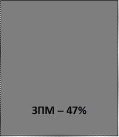 ЗПМ – 47%
