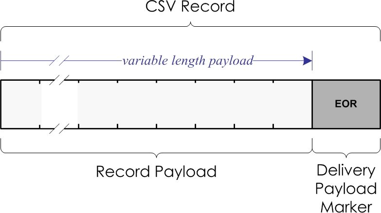 CSV record structure