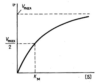 Зависимость скорости ферментативной реакции от концентрации субстрата уравнение михаэлиса ментен