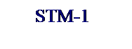 Подпись: STM-1