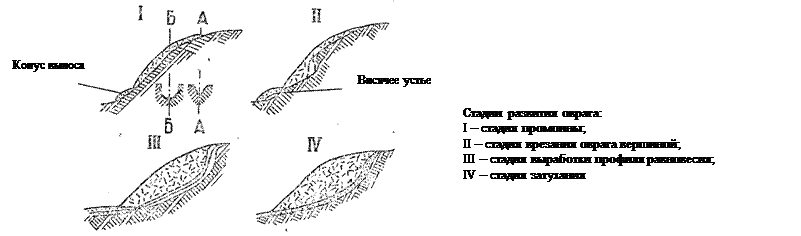 Стадии развития оврагов