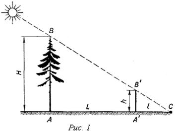 Тень земли высота. Измерение высоты предмета. Измерение высоты по тени. Измерение длины тени. Определение длины тени.