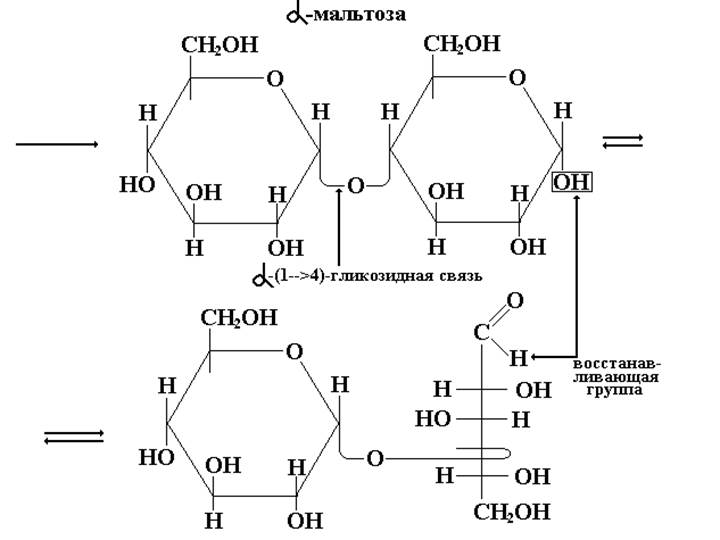 Химические свойства мальтозы. Альфа лактоза Тип гликозидной связи. Альфа 1 6 гликозидная связь.