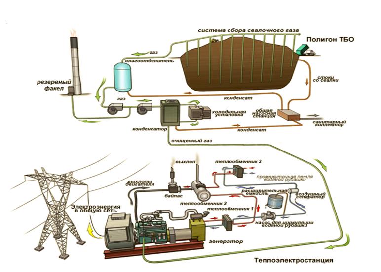 сырье для биогазовой установки